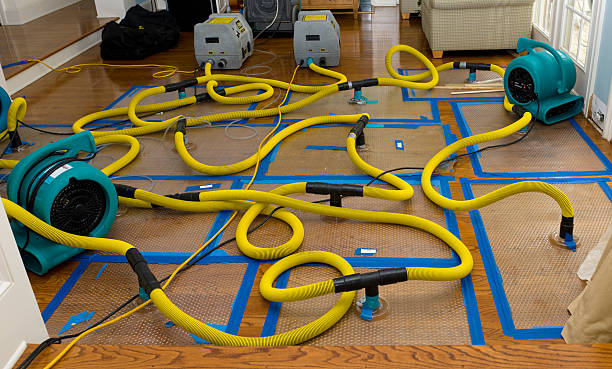 Professional Structural Drying And Dehumidification technician working in Irondale, OH